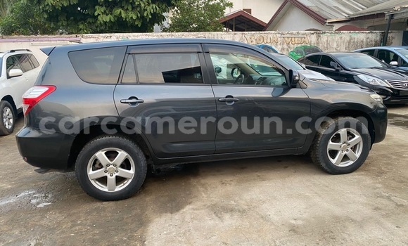 Acheter Import Voiture Toyota Vanguard Gris à Douala, Littoral Cameroon Acheter Import Voiture Toyota Vanguard Gris à Douala, Littoral Cameroon