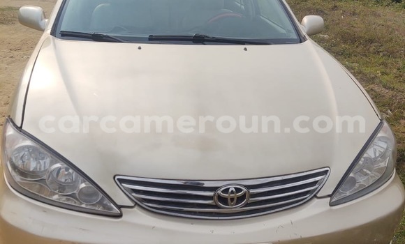 Acheter Occasion Voiture Toyota Camry Gris à Douala, Littoral Cameroon