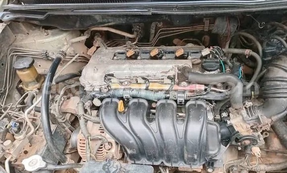 Acheter Occasion Voiture Toyota Corolla Verso Beige à Douala, Littoral Cameroon Acheter Occasion Voiture Toyota Corolla Verso Beige à Douala, Littoral Cameroon