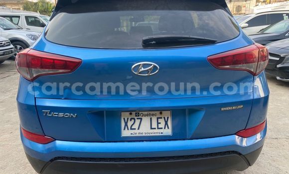 Acheter Occasion Voiture Hyundai Tucson Bleu à Douala, Littoral Cameroon Acheter Occasion Voiture Hyundai Tucson Bleu à Douala, Littoral Cameroon