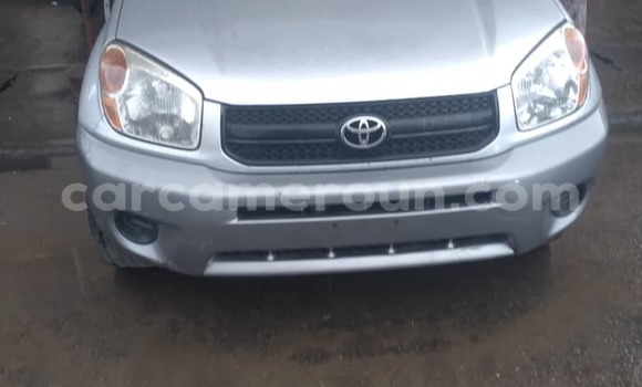 Sayi Na hannu Toyota RAV4 Azurfa Mota in Douala a Ƙasar Kamaru