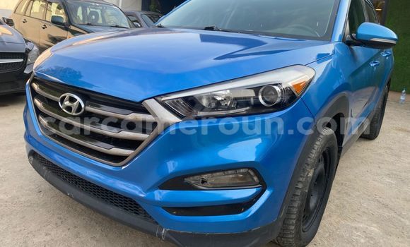 Buy Import Hyundai Tucson Blue Car in Douala in Littoral Cameroon Buy Import Hyundai Tucson Blue Car in Douala in Littoral Cameroon