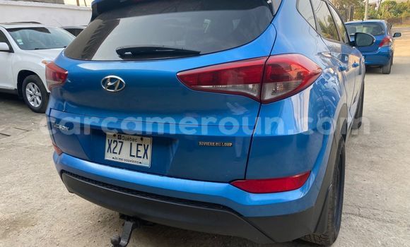 Buy Import Hyundai Tucson Blue Car in Douala in Littoral Cameroon Buy Import Hyundai Tucson Blue Car in Douala in Littoral Cameroon