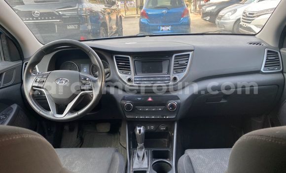 Buy Import Hyundai Tucson Blue Car in Douala in Littoral Cameroon Buy Import Hyundai Tucson Blue Car in Douala in Littoral Cameroon