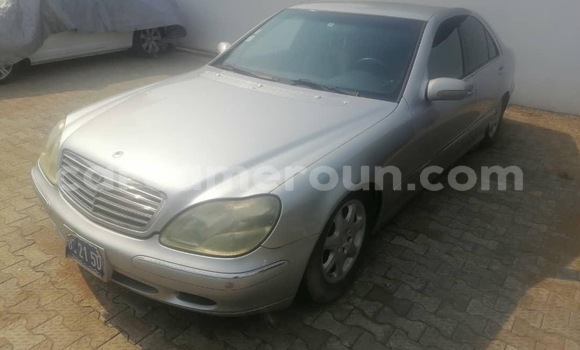 Sayi Imported Mercedes‒Benz 600 Azurfa Mota in Douala a Ƙasar Kamaru