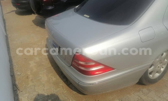 Buy Import Mercedes‒Benz 600 Silver Car in Douala in Littoral Cameroon Buy Import Mercedes‒Benz 600 Silver Car in Douala in Littoral Cameroon