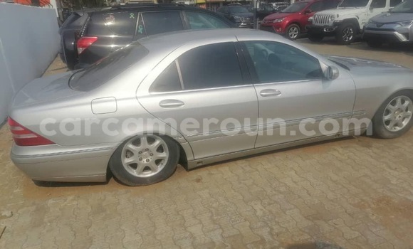 Buy Import Mercedes‒Benz 600 Silver Car in Douala in Littoral Cameroon Buy Import Mercedes‒Benz 600 Silver Car in Douala in Littoral Cameroon