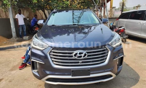 Buy Import Hyundai Santa Fe Other Car in Douala in Littoral Cameroon