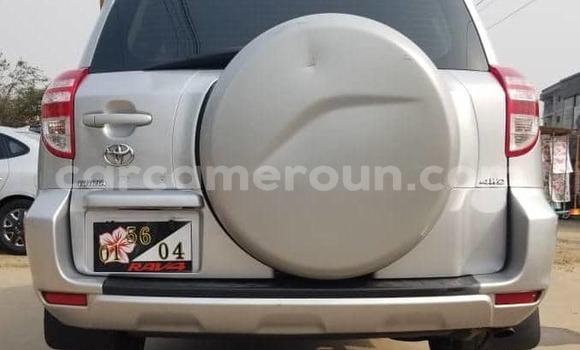 Buy Used Toyota RAV4 Silver Car in Douala in Littoral Cameroon Buy Used Toyota RAV4 Silver Car in Douala in Littoral Cameroon