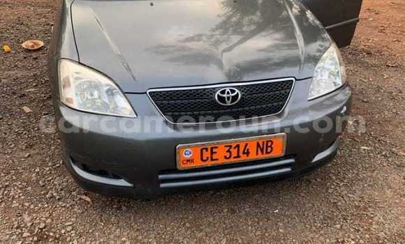 Sayi Na hannu Toyota Corolla Brown Mota in Douala a Ƙasar Kamaru