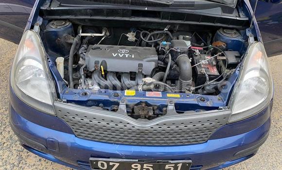 Acheter Occasion Voiture Toyota Yaris Verso Bleu à Douala, Littoral Cameroon Acheter Occasion Voiture Toyota Yaris Verso Bleu à Douala, Littoral Cameroon