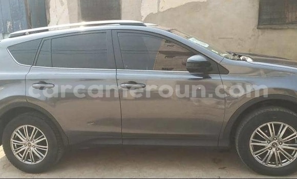 Buy Used Toyota RAV4 Brown Car in Douala in Littoral Cameroon