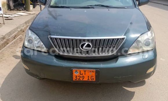 Buy Used Lexus RX 350 Green Car in Douala in Littoral Cameroon