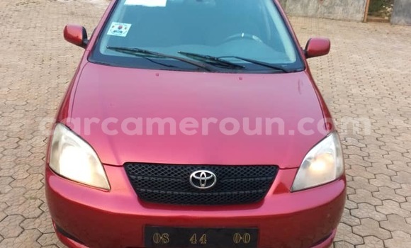 Buy Used Toyota Corolla Red Car in Douala in Littoral Cameroon