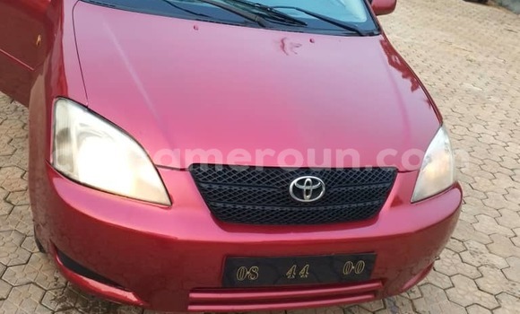 Sayi Na hannu Toyota Corolla Red Mota in Douala a Ƙasar Kamaru Sayi Na hannu Toyota Corolla Red Mota in Douala a Ƙasar Kamaru
