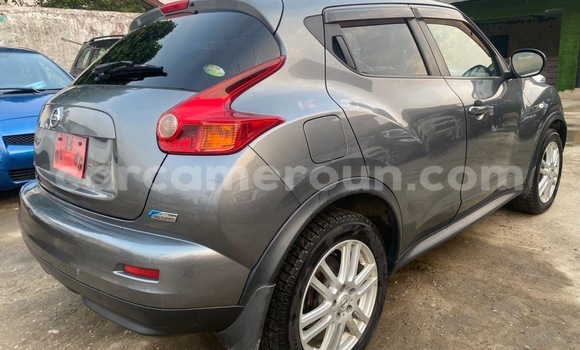 Buy Import Nissan Juke Silver Car in Douala in Littoral Cameroon Buy Import Nissan Juke Silver Car in Douala in Littoral Cameroon