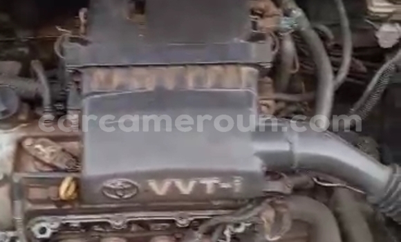 Buy Used Toyota Yaris Other Car in Yaounde in Central Cameroon Buy Used Toyota Yaris Other Car in Yaounde in Central Cameroon