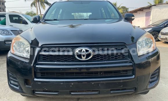 Buy Import Toyota RAV4 Black Car in Douala in Littoral Cameroon Buy Import Toyota RAV4 Black Car in Douala in Littoral Cameroon