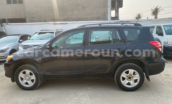 Buy Import Toyota RAV4 Black Car in Douala in Littoral Cameroon Buy Import Toyota RAV4 Black Car in Douala in Littoral Cameroon