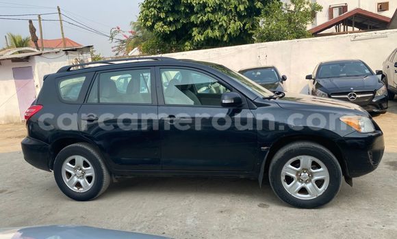 Buy Import Toyota RAV4 Black Car in Douala in Littoral Cameroon Buy Import Toyota RAV4 Black Car in Douala in Littoral Cameroon