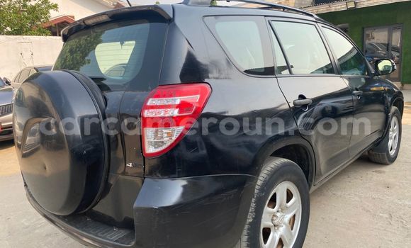 Buy Import Toyota RAV4 Black Car in Douala in Littoral Cameroon Buy Import Toyota RAV4 Black Car in Douala in Littoral Cameroon