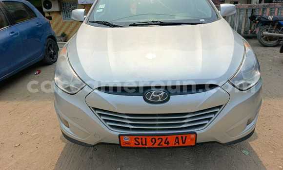 Acheter Occasion Voiture Hyundai Tucson Gris à Douala, Littoral Cameroon