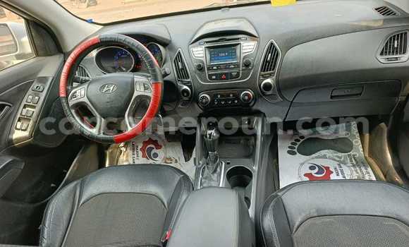 Acheter Occasion Voiture Hyundai Tucson Gris à Douala, Littoral Cameroon Acheter Occasion Voiture Hyundai Tucson Gris à Douala, Littoral Cameroon