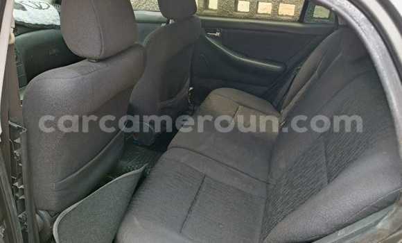 Acheter Occasion Voiture Toyota Corolla Autre à Douala, Littoral Cameroon Acheter Occasion Voiture Toyota Corolla Autre à Douala, Littoral Cameroon