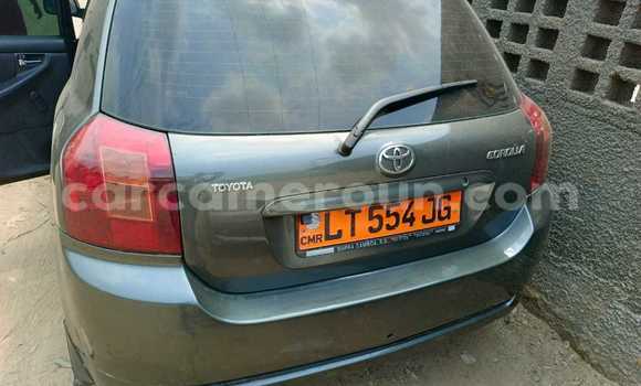 Acheter Occasion Voiture Toyota Corolla Autre à Douala, Littoral Cameroon Acheter Occasion Voiture Toyota Corolla Autre à Douala, Littoral Cameroon