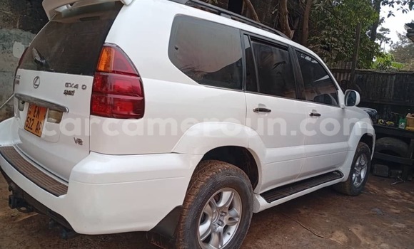 Buy Used Lexus GX White Car in Yaounde in Central Cameroon Buy Used Lexus GX White Car in Yaounde in Central Cameroon