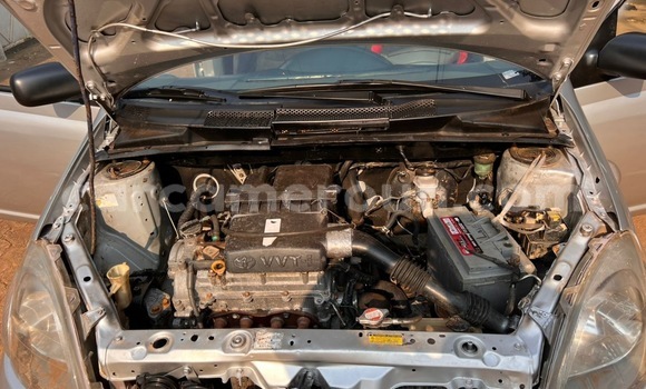 Buy Used Toyota Yaris Silver Car in Yaounde in Central Cameroon Buy Used Toyota Yaris Silver Car in Yaounde in Central Cameroon