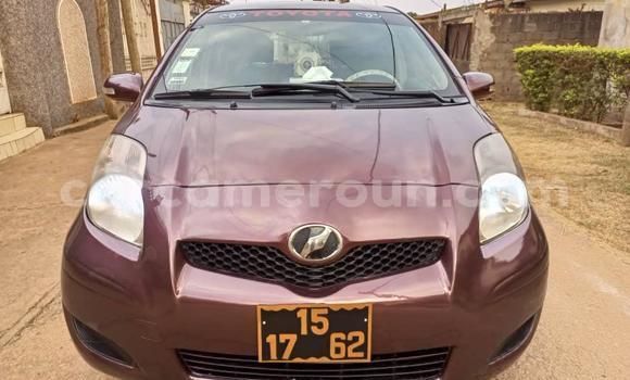 Buy Used Toyota Vitz Red Car in Yaounde in Central Cameroon Buy Used Toyota Vitz Red Car in Yaounde in Central Cameroon