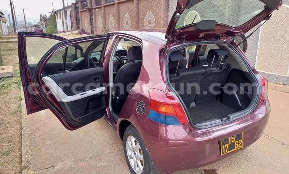 Buy Used Toyota Vitz Red Car in Yaounde in Central Cameroon Buy Used Toyota Vitz Red Car in Yaounde in Central Cameroon