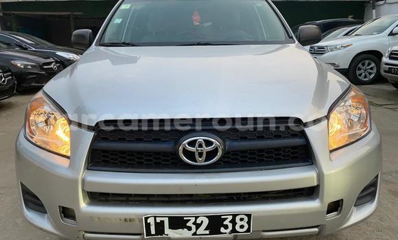 Acheter Import Voiture Toyota RAV4 Gris à Douala, Littoral Cameroon Acheter Import Voiture Toyota RAV4 Gris à Douala, Littoral Cameroon