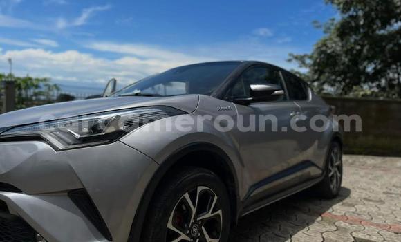 Acheter Occasion Voiture Toyota C-HR Noir à Douala, Littoral Cameroon