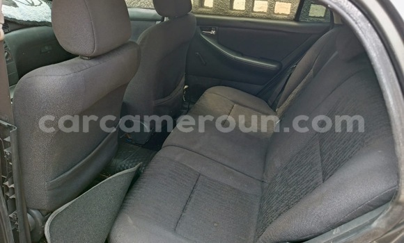 Acheter Occasion Voiture Toyota Corolla Vert à Douala, Littoral Cameroon Acheter Occasion Voiture Toyota Corolla Vert à Douala, Littoral Cameroon