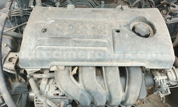 Acheter Occasion Voiture Toyota Corolla Vert à Douala, Littoral Cameroon Acheter Occasion Voiture Toyota Corolla Vert à Douala, Littoral Cameroon