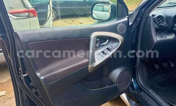 Buy Used Toyota RAV4 Black Car in Douala in Littoral Cameroon Buy Used Toyota RAV4 Black Car in Douala in Littoral Cameroon