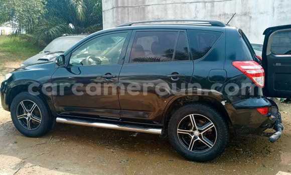 Buy Used Toyota RAV4 Black Car in Douala in Littoral Cameroon Buy Used Toyota RAV4 Black Car in Douala in Littoral Cameroon