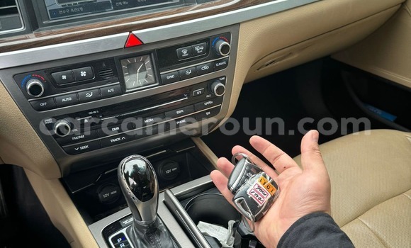 Acheter Occasion Voiture Hyundai Genesis Gris à Douala, Littoral Cameroon