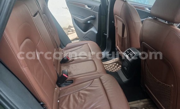 Acheter Occasion Voiture Audi Q5 Vert à Douala, Littoral Cameroon Acheter Occasion Voiture Audi Q5 Vert à Douala, Littoral Cameroon