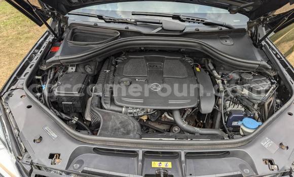 Buy Used Mercedes‒Benz ML–Class Black Car in Douala in Littoral Cameroon Buy Used Mercedes‒Benz ML–Class Black Car in Douala in Littoral Cameroon