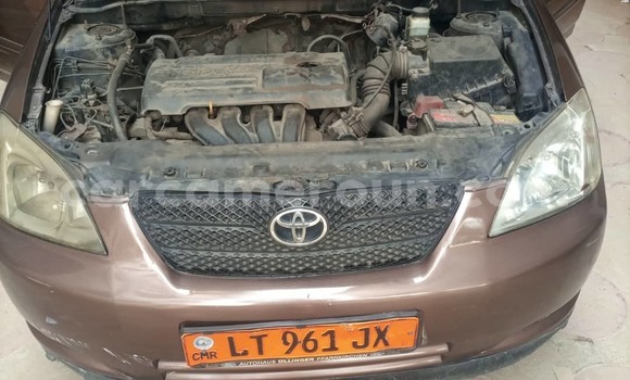 Acheter Occasion Voiture Toyota Corolla Marron à Douala, Littoral Cameroon