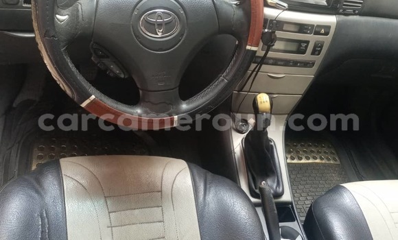 Sayi Na hannu Toyota Corolla Brown Mota in Douala a Ƙasar Kamaru Sayi Na hannu Toyota Corolla Brown Mota in Douala a Ƙasar Kamaru