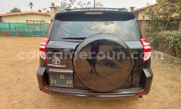 Buy Used Toyota RAV4 Black Car in Yaounde in Central Cameroon Buy Used Toyota RAV4 Black Car in Yaounde in Central Cameroon