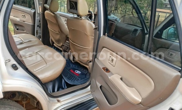 Buy Used Toyota Fortuner Beige Car in Yaounde in Central Cameroon Buy Used Toyota Fortuner Beige Car in Yaounde in Central Cameroon