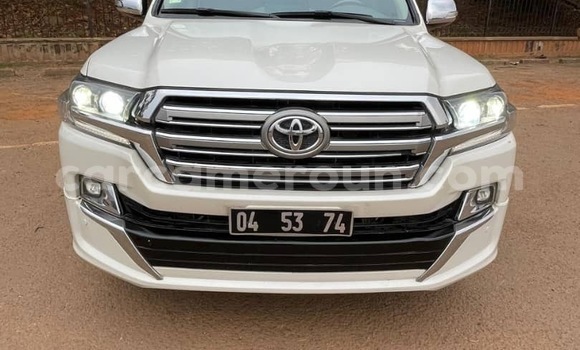 Acheter Occasion Voiture Toyota Land Cruiser Prado Blanc à Yaoundé, Central Cameroon Acheter Occasion Voiture Toyota Land Cruiser Prado Blanc à Yaoundé, Central Cameroon