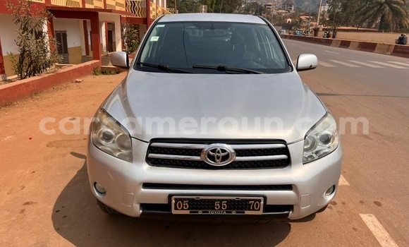 Buy Used Toyota RAV4 Silver Car in Yaounde in Central Cameroon Buy Used Toyota RAV4 Silver Car in Yaounde in Central Cameroon