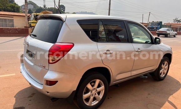 Buy Used Toyota RAV4 Silver Car in Yaounde in Central Cameroon Buy Used Toyota RAV4 Silver Car in Yaounde in Central Cameroon