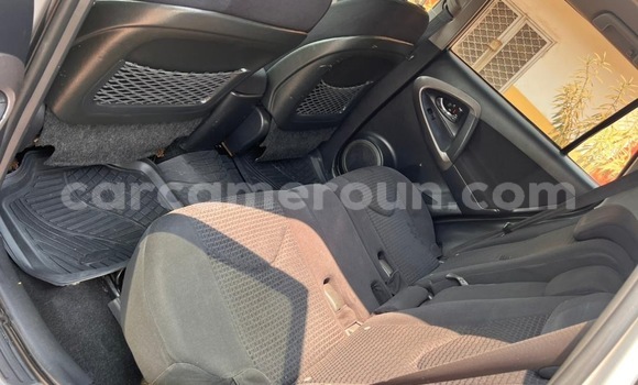 Buy Used Toyota RAV4 Silver Car in Yaounde in Central Cameroon Buy Used Toyota RAV4 Silver Car in Yaounde in Central Cameroon